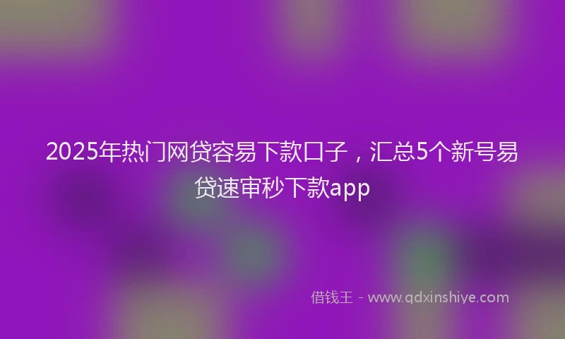 2025年热门网贷容易下款口子，汇总5个新号易贷速审秒下款app