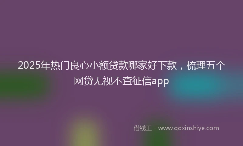 2025年热门良心小额贷款哪家好下款，梳理五个网贷无视不查征信app