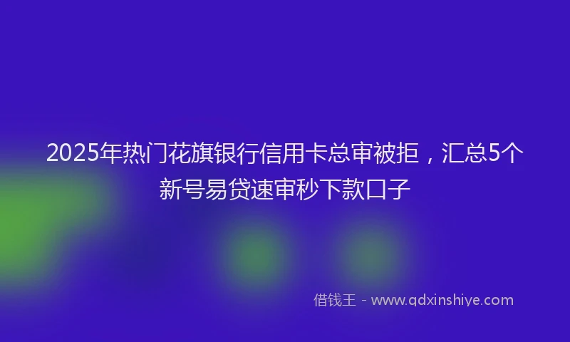 2025年热门花旗银行信用卡总审被拒，汇总5个新号易贷速审秒下款口子