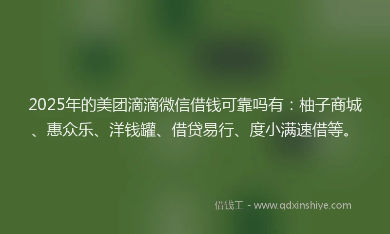 2025年的美团滴滴微信借钱可靠吗有：柚子商城、惠众乐、洋钱罐、借贷易行、度小满速借等。
