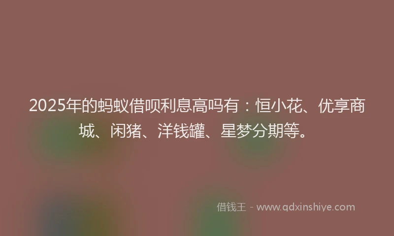 2025年的蚂蚁借呗利息高吗有：恒小花、优享商城、闲猪、洋钱罐、星梦分期等。