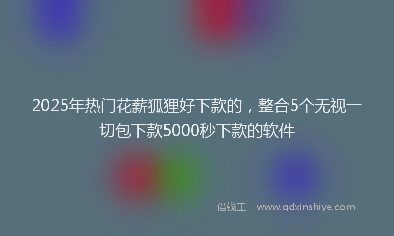 2025年热门花薪狐狸好下款的，整合5个无视一切包下款5000秒下款的软件