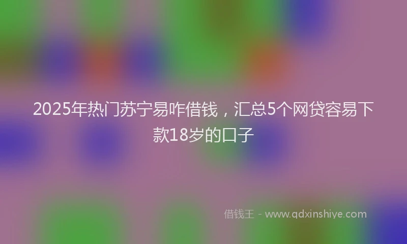 2025年热门苏宁易咋借钱，汇总5个网贷容易下款18岁的口子