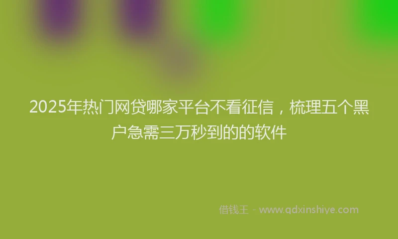 2025年热门网贷哪家平台不看征信，梳理五个黑户急需三万秒到的的软件