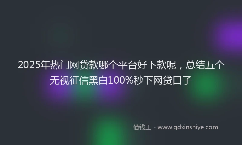2025年热门网贷款哪个平台好下款呢，总结五个无视征信黑白100%秒下网贷口子