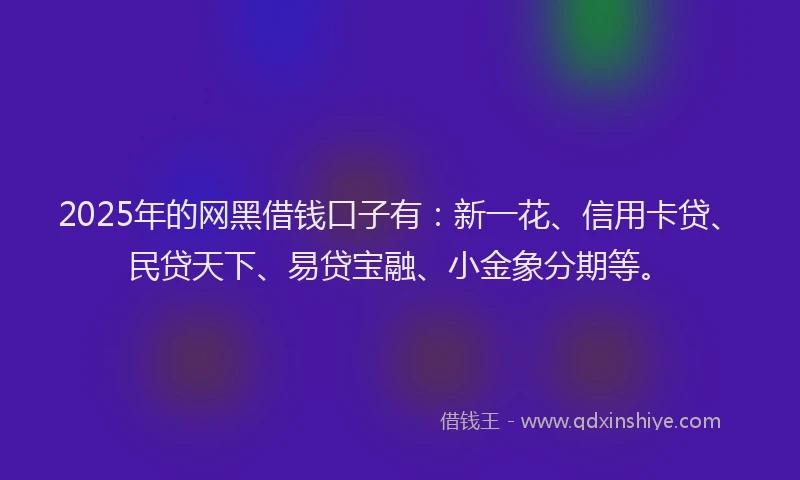 2025年的网黑借钱口子有：新一花、信用卡贷、民贷天下、易贷宝融、小金象分期等。