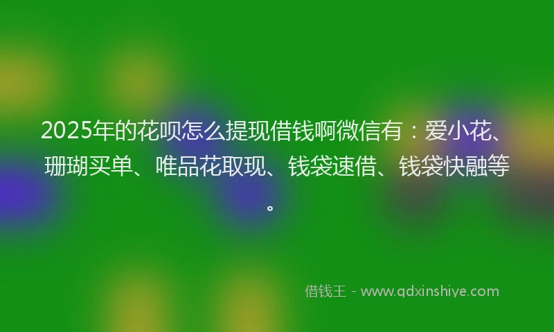 2025年的花呗怎么提现借钱啊微信有：爱小花、珊瑚买单、唯品花取现、钱袋速借、钱袋快融等。