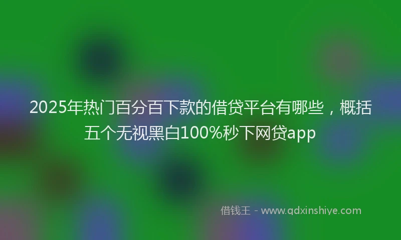2025年热门百分百下款的借贷平台有哪些，概括五个无视黑白100%秒下网贷app
