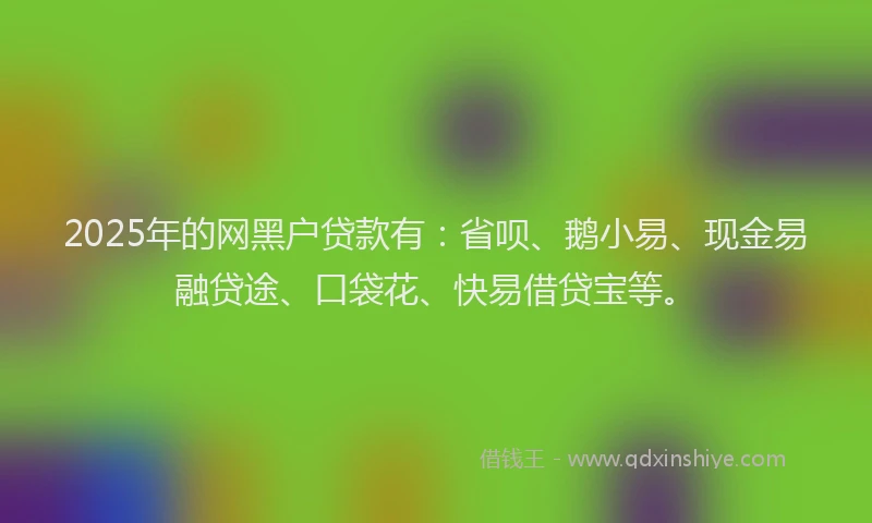 2025年的网黑户贷款有：省呗、鹅小易、现金易融贷途、口袋花、快易借贷宝等。