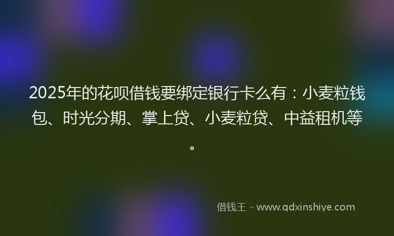 2025年的花呗借钱要绑定银行卡么有：小麦粒钱包、时光分期、掌上贷、小麦粒贷、中益租机等。