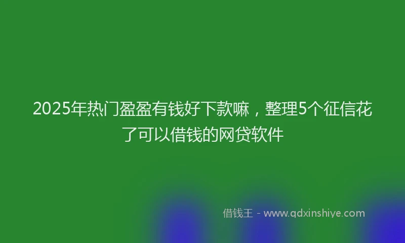 2025年热门盈盈有钱好下款嘛，整理5个征信花了可以借钱的网贷软件