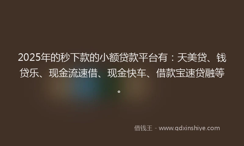 2025年的秒下款的小额贷款平台有：天美贷、钱贷乐、现金流速借、现金快车、借款宝速贷融等。