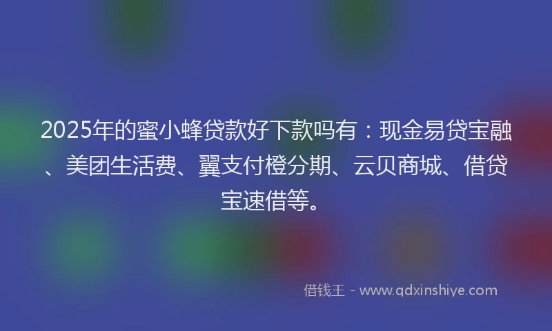 2025年的蜜小蜂贷款好下款吗有：现金易贷宝融、美团生活费、翼支付橙分期、云贝商城、借贷宝速借等。