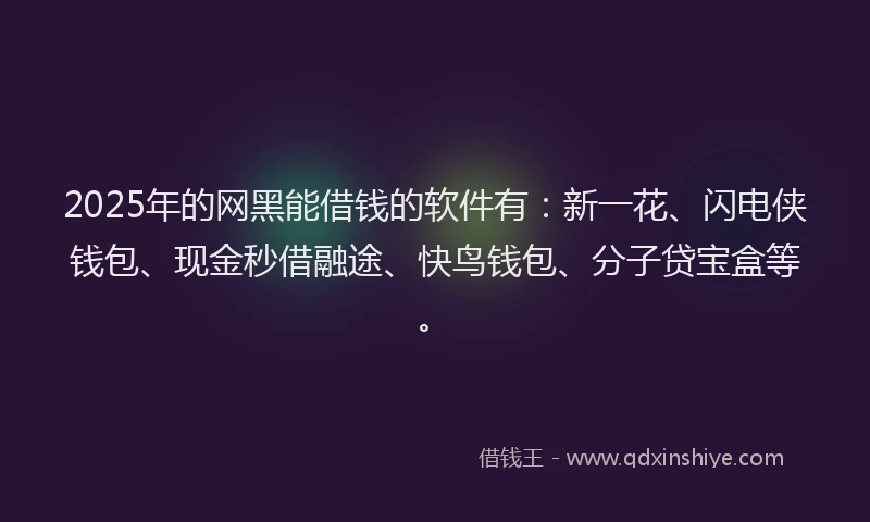 2025年的网黑能借钱的软件有：新一花、闪电侠钱包、现金秒借融途、快鸟钱包、分子贷宝盒等。