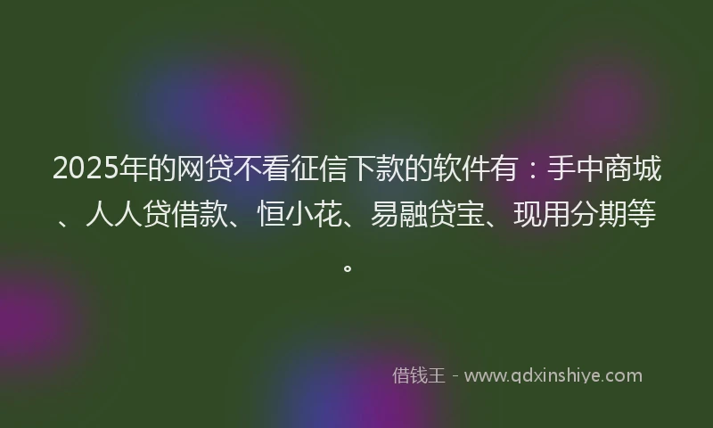 2025年的网贷不看征信下款的软件有：手中商城、人人贷借款、恒小花、易融贷宝、现用分期等。