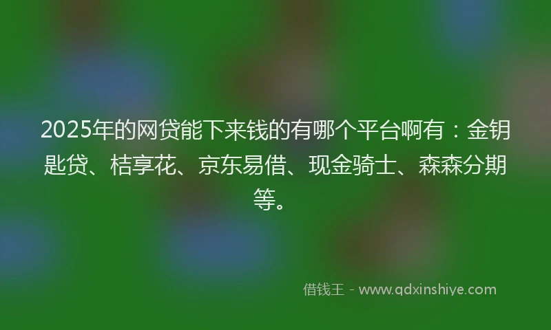 2025年的网贷能下来钱的有哪个平台啊有：金钥匙贷、桔享花、京东易借、现金骑士、森森分期等。