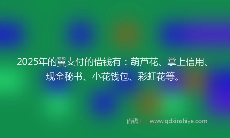 2025年的翼支付的借钱有：葫芦花、掌上信用、现金秘书、小花钱包、彩虹花等。