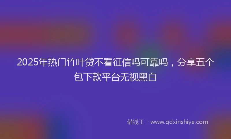 2025年热门竹叶贷不看征信吗可靠吗，分享五个包下款平台无视黑白