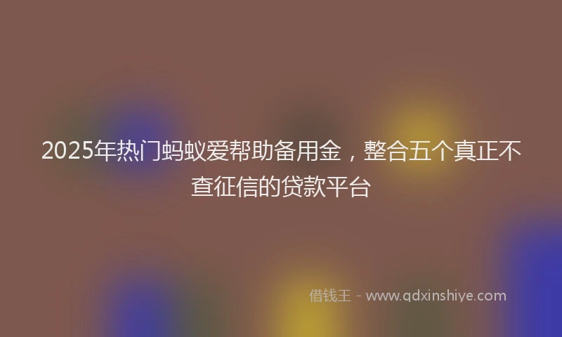 2025年热门蚂蚁爱帮助备用金，整合五个真正不查征信的贷款平台