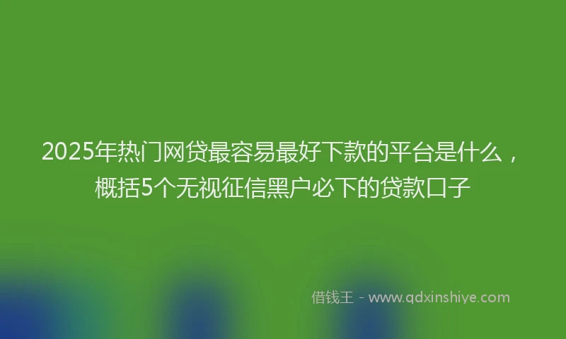2025年热门网贷最容易最好下款的平台是什么，概括5个无视征信黑户必下的贷款口子