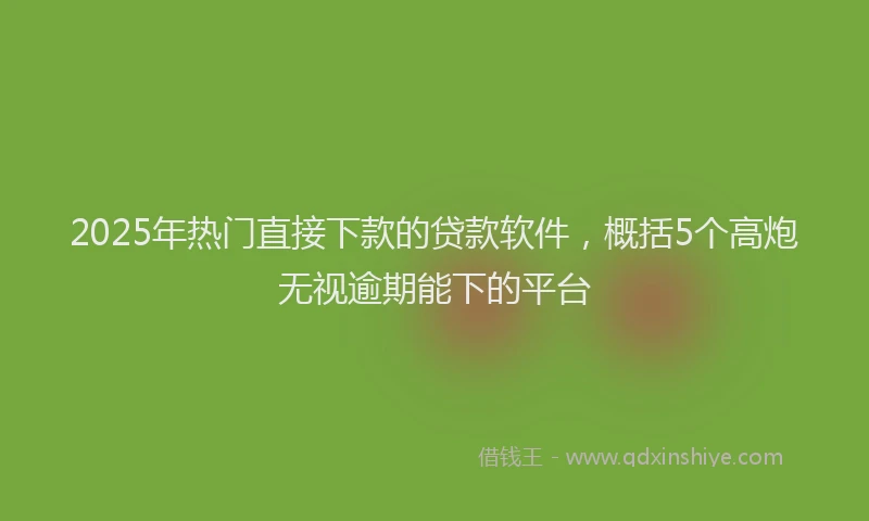 2025年热门直接下款的贷款软件，概括5个高炮无视逾期能下的平台