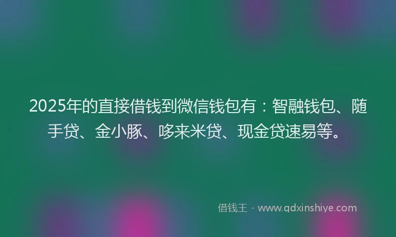 2025年的直接借钱到微信钱包有：智融钱包、随手贷、金小豚、哆来米贷、现金贷速易等。