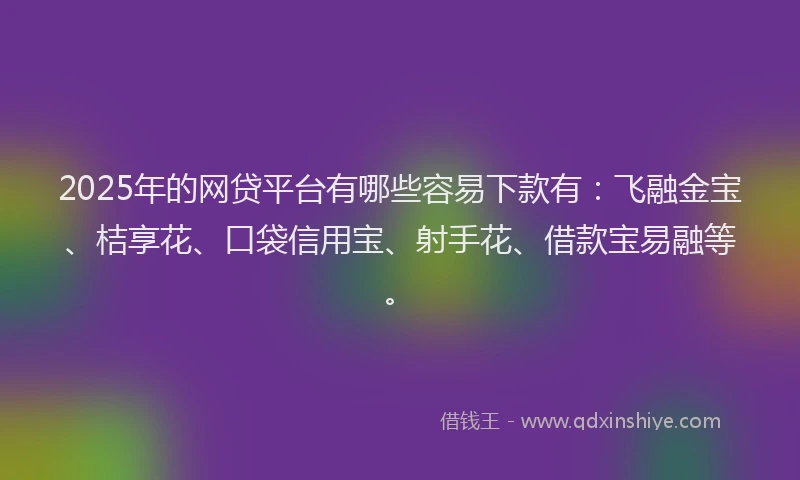 2025年的网贷平台有哪些容易下款有：飞融金宝、桔享花、口袋信用宝、射手花、借款宝易融等。