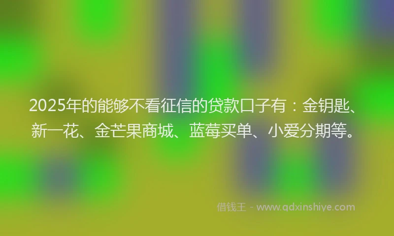 2025年的能够不看征信的贷款口子有：金钥匙、新一花、金芒果商城、蓝莓买单、小爱分期等。