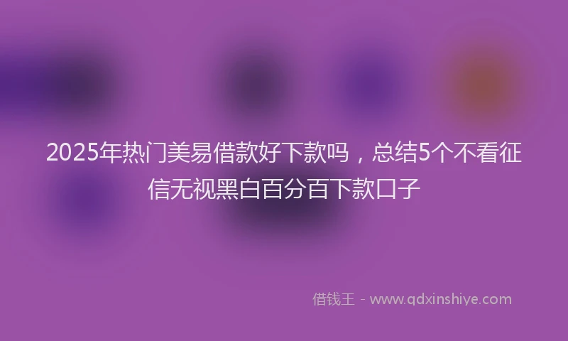 2025年热门美易借款好下款吗，总结5个不看征信无视黑白百分百下款口子