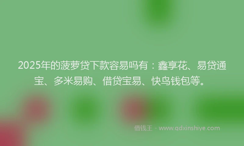 2025年的菠萝贷下款容易吗有：鑫享花、易贷通宝、多米易购、借贷宝易、快鸟钱包等。