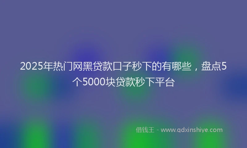 2025年热门网黑贷款口子秒下的有哪些，盘点5个5000块贷款秒下平台