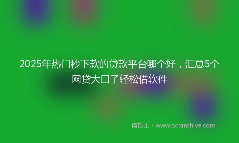 2025年热门秒下款的贷款平台哪个好，汇总5个网贷大口子轻松借软件