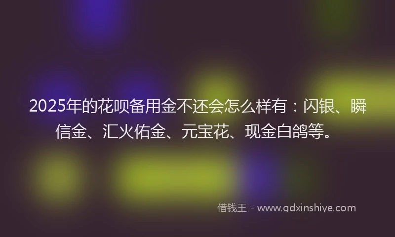 2025年的花呗备用金不还会怎么样有：闪银、瞬信金、汇火佑金、元宝花、现金白鸽等。