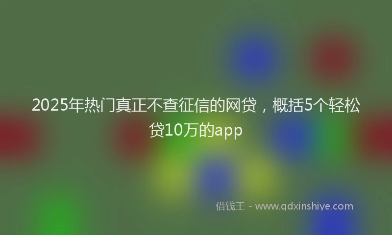 2025年热门真正不查征信的网贷，概括5个轻松贷10万的app