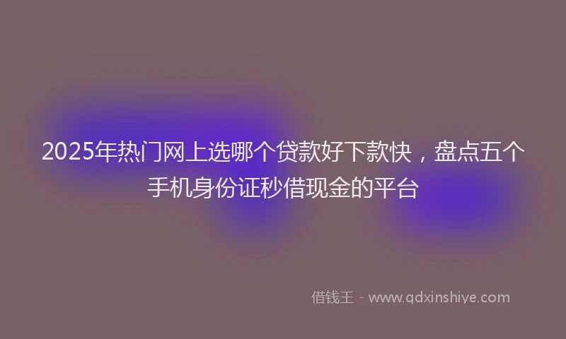 2025年热门网上选哪个贷款好下款快，盘点五个手机身份证秒借现金的平台