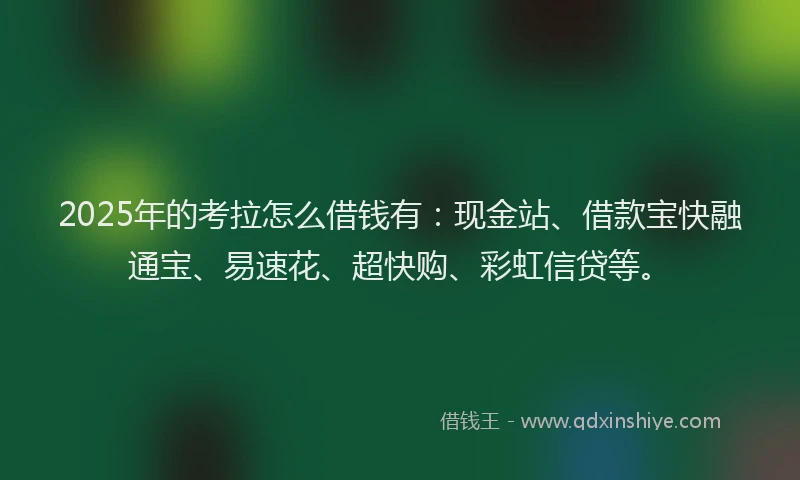 2025年的考拉怎么借钱有：现金站、借款宝快融通宝、易速花、超快购、彩虹信贷等。