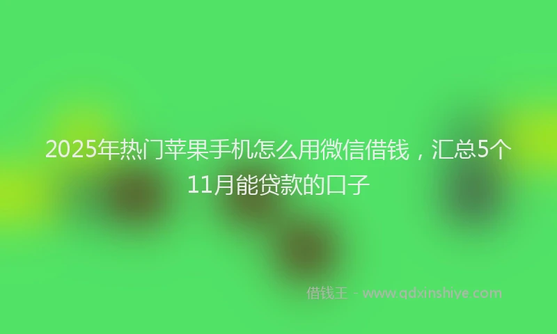 2025年热门苹果手机怎么用微信借钱，汇总5个11月能贷款的口子