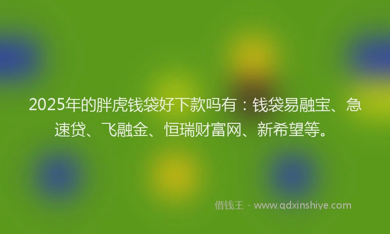 2025年的胖虎钱袋好下款吗有：钱袋易融宝、急速贷、飞融金、恒瑞财富网、新希望等。