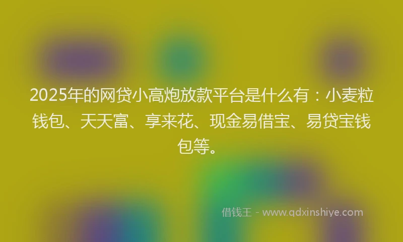2025年的网贷小高炮放款平台是什么有：小麦粒钱包、天天富、享来花、现金易借宝、易贷宝钱包等。