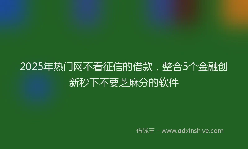 2025年热门网不看征信的借款，整合5个金融创新秒下不要芝麻分的软件
