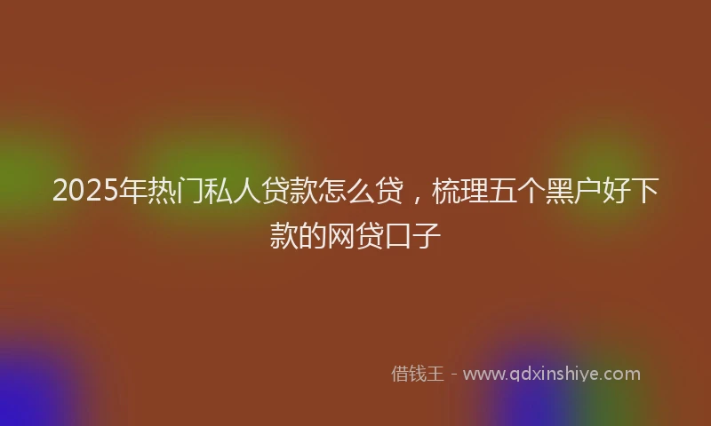 2025年热门私人贷款怎么贷，梳理五个黑户好下款的网贷口子