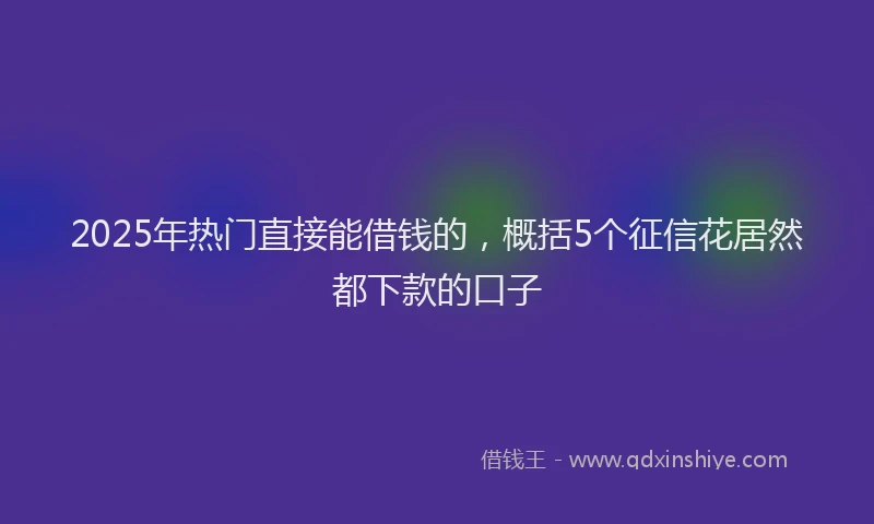 2025年热门直接能借钱的，概括5个征信花居然都下款的口子