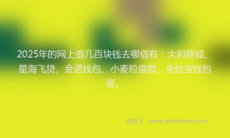 2025年的网上借几百块钱去哪借有：大利商城、星海飞贷、金诺钱包、小麦粒借款、金悦宝钱包等。