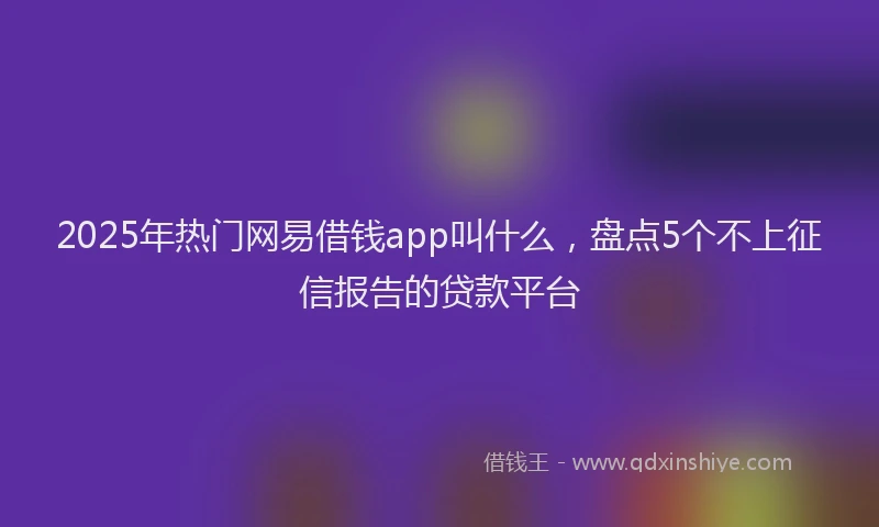 2025年热门网易借钱app叫什么，盘点5个不上征信报告的贷款平台