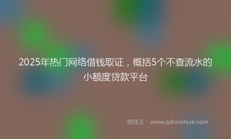 2025年热门网络借钱取证，概括5个不查流水的小额度贷款平台