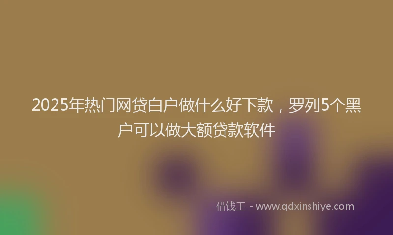 2025年热门网贷白户做什么好下款，罗列5个黑户可以做大额贷款软件
