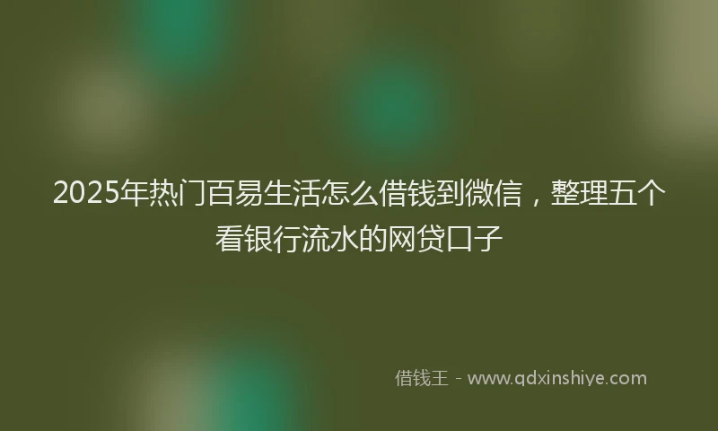 2025年热门百易生活怎么借钱到微信，整理五个看银行流水的网贷口子
