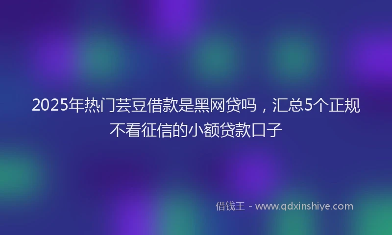 2025年热门芸豆借款是黑网贷吗，汇总5个正规不看征信的小额贷款口子