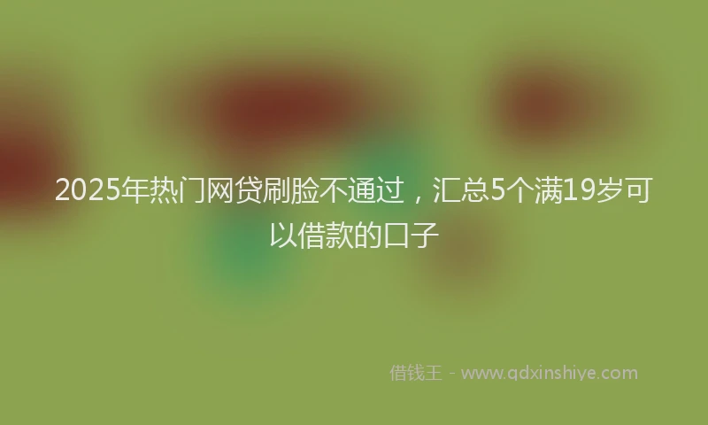 2025年热门网贷刷脸不通过，汇总5个满19岁可以借款的口子