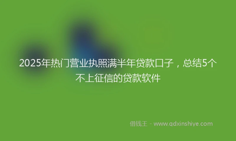 2025年热门营业执照满半年贷款口子，总结5个不上征信的贷款软件